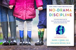 No-Drama Discipline: The Whole-Brain Way to Calm the Chaos and Nurture Your Child's Developing Mind