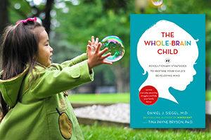 The Whole-Brain Child: 12 Revolutionary Strategies to Nurture Your Child's Developing Mind