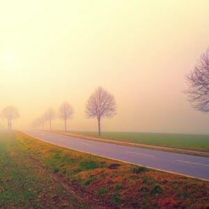 Transforming Anxiety and Stress by Integrating the Embodied Brain