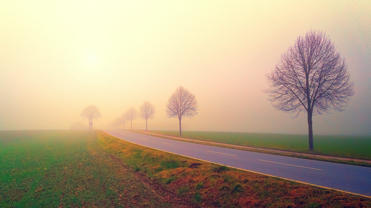 Transforming Anxiety and Stress by Integrating the Embodied Brain (2023 – Live Course)