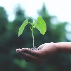 Consciousness and Change: The Plane of Possibility as a Portal for Integrative Transformation